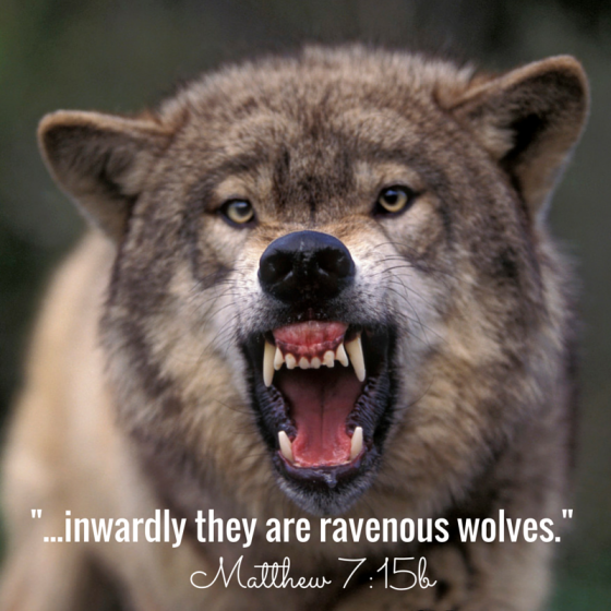 -...inwardly they are ravenous wolves.- (1)